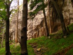 1913-07-05_Regina-F-Rau_Sonnenspitz_Kotalm-Jachenau (094).JPG